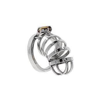Hidden Desire Extreme Chastity Cock Cage Metal