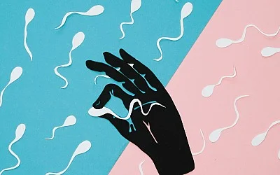 Wat is Sperma & Hoe verbeter je de kwaliteit