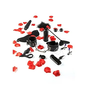 Amazing Pleasure Sex Toy Kit - Zwart