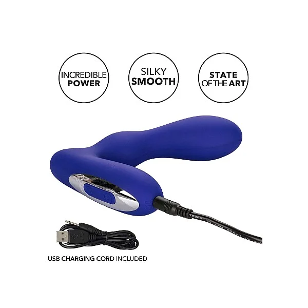 Eclipse Pleasure Probe - Blauw van het merk Eclipse - Anaal Dildo's - online kopen bij Masculum.nl. De discrete online seks-toys en erotisch heren ondergoed winkel voor gay & hetero mannen.