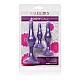Booty Call Booty Trainer Kit - Paars van het merk Booty Call - Buttplugs - online kopen bij Masculum.nl. De discrete online seks-toys en erotisch heren ondergoed winkel voor gay & hetero mannen.