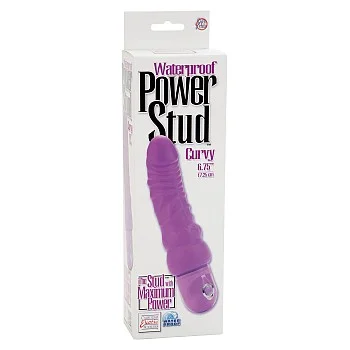 Power Stud Curvy - Paars