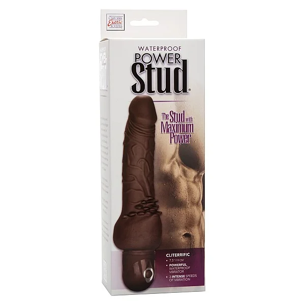 Power Stud Cliterrific - Bruine huidskleur van het merk Stud - Realistische Vibrators - online kopen bij Masculum.nl. De discrete online seks-toys en erotisch heren ondergoed winkel voor gay & hetero mannen.