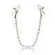 Crystal Chain Nipple Clamps - Zilver van het merk Nipple Play - Tepelklemmen - online bestellen bij Masculum.nl. De discrete online seks-toys en erotisch heren ondergoed winkel voor gay & hetero mannen.