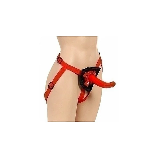 Sophia's Red Rider - Rood van het merk CalExotics -  - online bestellen bij Masculum.nl. De discrete online seks-toys en erotisch heren ondergoed winkel voor gay & hetero mannen.