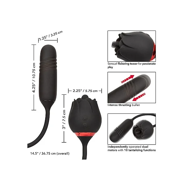 French Kiss Elite Romeo - Zwart van het merk French Kiss - Vibrerende Eitjes - online kopen bij Masculum.nl. De discrete online seks-toys en erotisch heren ondergoed winkel voor gay & hetero mannen.