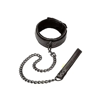 Boundless Collar & Leash - Zwart