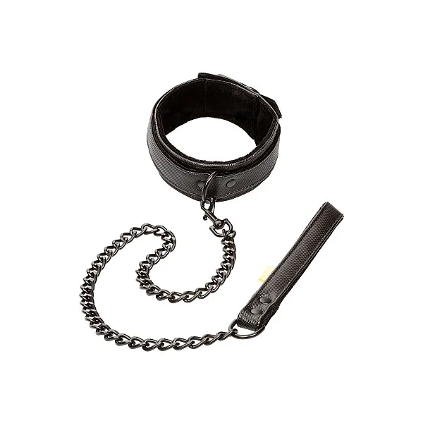 Boundless Collar & Leash - Zwart van het merk Boundless - BDSM Collars - online bestellen bij Masculum.nl. De discrete online seks-toys en erotisch heren ondergoed winkel voor gay & hetero mannen.