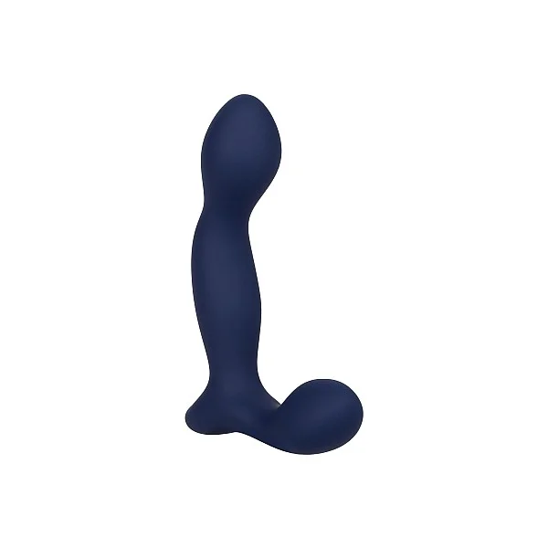 Viceroy Expert Probe - Blauw van het merk Viceroy - Anaal Dildo's - online bestellen bij Masculum.nl. De discrete online seks-toys en erotisch heren ondergoed winkel voor gay & hetero mannen.