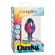 Cheeky Medium Tie-Dye Plug - Meerkleurig van het merk Cheeky - Buttplugs - online kopen bij Masculum.nl. De discrete online seks-toys en erotisch heren ondergoed winkel voor gay & hetero mannen.