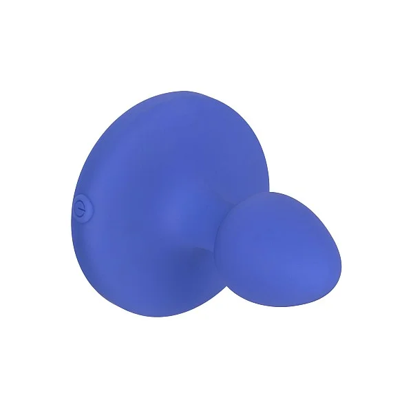 Vibrating Probe Small - Blauw van het merk Cheeky - Buttplugs - online bestellen bij Masculum.nl. De discrete online seks-toys en erotisch heren ondergoed winkel voor gay & hetero mannen.