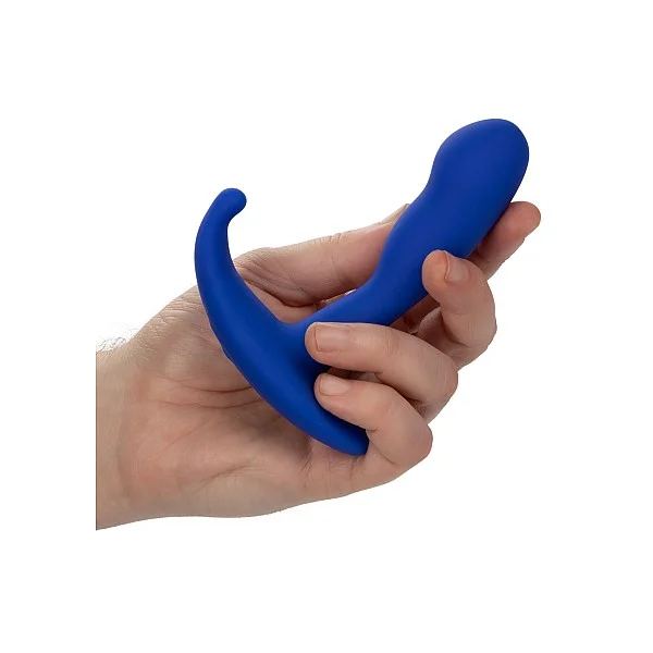 Admiral Advanced Curved Probe - Blauw van het merk Admiral - Anaal Dildo's - online kopen bij Masculum.nl. De discrete online seks-toys en erotisch heren ondergoed winkel voor gay & hetero mannen.