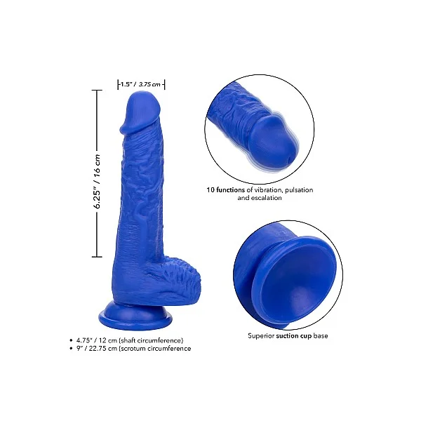 CalExotics Admiral 7” Vibrating Sailor - Blauw van het merk Admiral - Realistische Vibrators - online bestellen bij Masculum.nl. De discrete online seks-toys en erotisch heren ondergoed winkel voor gay & hetero mannen.