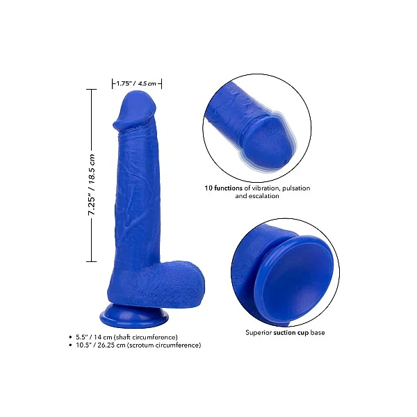 CalExotics Admiral 8” Vibrating Captain - Blauw van het merk Admiral - Realistische Vibrators - online kopen bij Masculum.nl. De discrete online seks-toys en erotisch heren ondergoed winkel voor gay & hetero mannen.