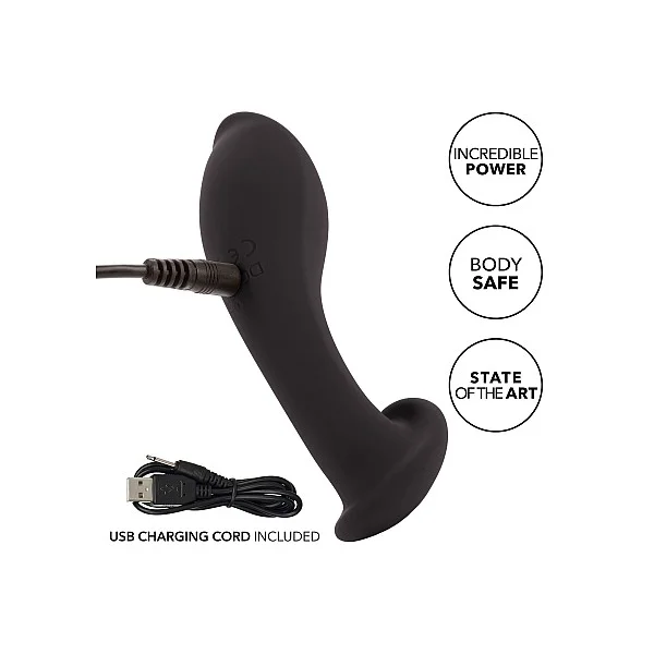 Liquid Silicone Flex Probe - Zwart van het merk Eclipse - Anaal Dildo's - online kopen bij Masculum.nl. De discrete online seks-toys en erotisch heren ondergoed winkel voor gay & hetero mannen.