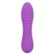 Bliss Liquid Silicone Ripple - Paars van het merk Bliss - Kleine Vibrators - online kopen bij Masculum.nl. De discrete online seks-toys en erotisch heren ondergoed winkel voor gay & hetero mannen.