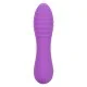 Bliss Liquid Silicone Ripple - Paars van het merk Bliss - Kleine Vibrators - online kopen bij Masculum.nl. De discrete online seks-toys en erotisch heren ondergoed winkel voor gay & hetero mannen.