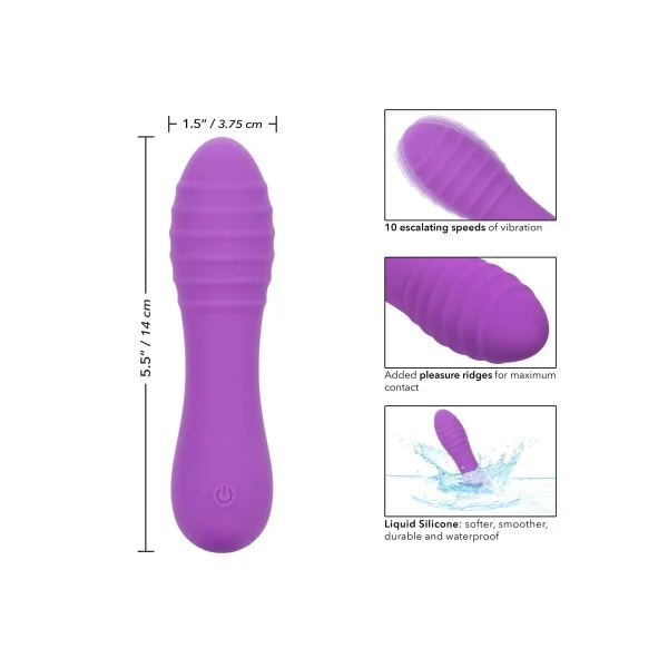 Bliss Liquid Silicone Ripple - Paars van het merk Bliss - Kleine Vibrators - online kopen bij Masculum.nl. De discrete online seks-toys en erotisch heren ondergoed winkel voor gay & hetero mannen.