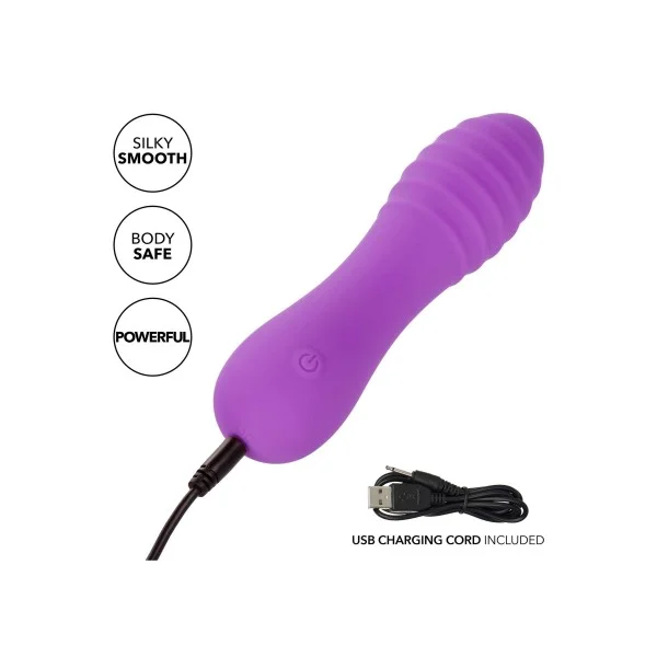 Bliss Liquid Silicone Ripple - Paars van het merk Bliss - Kleine Vibrators - online kopen bij Masculum.nl. De discrete online seks-toys en erotisch heren ondergoed winkel voor gay & hetero mannen.