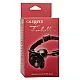Removable Rose Gag - Zwart van het merk Forbidden - Ball Gags - online bestellen bij Masculum.nl. De discrete online seks-toys en erotisch heren ondergoed winkel voor gay & hetero mannen.