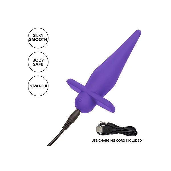 High Intensity Probe - Paars van het merk Anal - Buttplugs - online kopen bij Masculum.nl. De discrete online seks-toys en erotisch heren ondergoed winkel voor gay & hetero mannen.