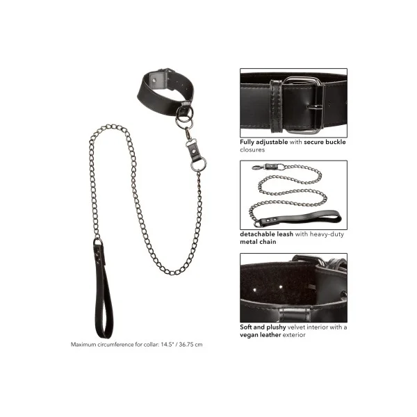 Euphoria Collection Halsband met Kettinglijn - Zwart van het merk Euphoria - BDSM Collars - online bestellen bij Masculum.nl. De discrete online seks-toys en erotisch heren ondergoed winkel voor gay & hetero mannen.