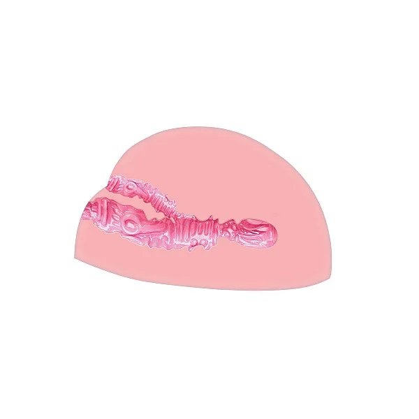 Horny Fuck Slut Vibrating - Lichte huidskleur van het merk Bangers - Masturbators - online bestellen bij Masculum.nl. De discrete online seks-toys en erotisch heren ondergoed winkel voor gay & hetero mannen.