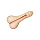 Big Dick Dipper - Lichte huidskleur van het merk Bangers - Anus Masturbators - online kopen bij Masculum.nl. De discrete online seks-toys en erotisch heren ondergoed winkel voor gay & hetero mannen.