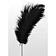 Feather Tickler - Zwart van het merk Luxury Bondage Essentials - Kietelaars - online bestellen bij Masculum.nl. De discrete online seks-toys en erotisch heren ondergoed winkel voor gay & hetero mannen.