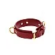 D-Ring Collar Deluxe - Rood van het merk Bondage in Luxury - BDSM Collars - online kopen bij Masculum.nl. De discrete online seks-toys en erotisch heren ondergoed winkel voor gay & hetero mannen.
