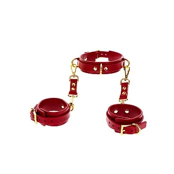 D-Ring Collar and Wrist Cuffs - Rood