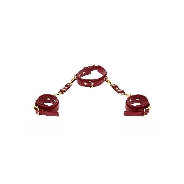 D-Ring Collar and Wrist Cuffs - Rood van het merk Bondage in Luxury - BDSM Collars - online kopen bij Masculum.nl. De discrete online seks-toys en erotisch heren ondergoed winkel voor gay & hetero mannen.