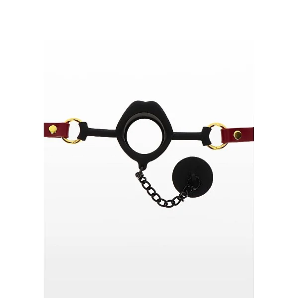 Kinky Gag with Plug - Rood van het merk Bondage in Luxury - Ball Gags - online kopen bij Masculum.nl. De discrete online seks-toys en erotisch heren ondergoed winkel voor gay & hetero mannen.