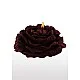 Rose Japanese Drip Candle 2pcs - Rood van het merk Bondage in Luxury - SM Kaarsen - online bestellen bij Masculum.nl. De discrete online seks-toys en erotisch heren ondergoed winkel voor gay & hetero mannen.