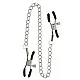 Adjustable Clamps with Chain - Zilver van het merk Nipple Play - Tepelklemmen - online kopen bij Masculum.nl. De discrete online seks-toys en erotisch heren ondergoed winkel voor gay & hetero mannen.