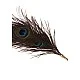 Peacock Tickler - Rose Gold van het merk Dona - Paddles - online kopen bij Masculum.nl. De discrete online seks-toys en erotisch heren ondergoed winkel voor gay & hetero mannen.