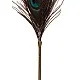 Peacock Tickler - Rose Gold van het merk Dona - Paddles - online kopen bij Masculum.nl. De discrete online seks-toys en erotisch heren ondergoed winkel voor gay & hetero mannen.