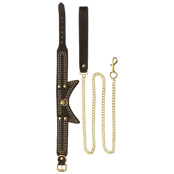 Studded Collar and Leash - Zwart van het merk Vogue - BDSM Collars - online kopen bij Masculum.nl. De discrete online seks-toys en erotisch heren ondergoed winkel voor gay & hetero mannen.
