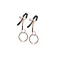 Nipple Clamps C2 - Rose Gold van het merk Bound - Tepelklemmen - online kopen bij Masculum.nl. De discrete online seks-toys en erotisch heren ondergoed winkel voor gay & hetero mannen.