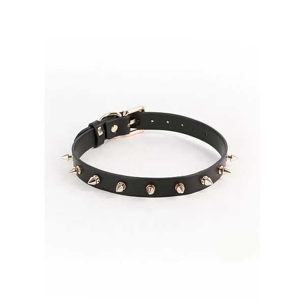 Fetish & Fashion Medusa Collar - Zwart van het merk Fetish & Fashion - BDSM Collars - online bestellen bij Masculum.nl. De discrete online seks-toys en erotisch heren ondergoed winkel voor gay & hetero mannen.