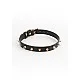 Fetish & Fashion Medusa Collar - Zwart van het merk Fetish & Fashion - BDSM Collars - online bestellen bij Masculum.nl. De discrete online seks-toys en erotisch heren ondergoed winkel voor gay & hetero mannen.