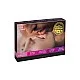 Travel game ENG/NL/DE/FR/ES - Assortiment van het merk Tease & please -  - online kopen bij Masculum.nl. De discrete online seks-toys en erotisch heren ondergoed winkel voor gay & hetero mannen.