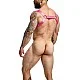 DNGEON Straigh Back Harness - Roze van het merk DNGEON - Harnassen - online bestellen bij Masculum.nl. De discrete online seks-toys en erotisch heren ondergoed winkel voor gay & hetero mannen.