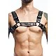 DNGEON Harness Belts - Zwart van het merk DNGEON - Harnassen - online kopen bij Masculum.nl. De discrete online seks-toys en erotisch heren ondergoed winkel voor gay & hetero mannen.