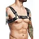 DNGEON Harness Belts - Zwart van het merk DNGEON - Harnassen - online kopen bij Masculum.nl. De discrete online seks-toys en erotisch heren ondergoed winkel voor gay & hetero mannen.