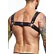 DNGEON Harness Belts - Zwart van het merk DNGEON - Harnassen - online kopen bij Masculum.nl. De discrete online seks-toys en erotisch heren ondergoed winkel voor gay & hetero mannen.