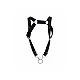 DNGEON Straigh Back Harness - Zwart van het merk DNGEON - Bondage Harnas - online kopen bij Masculum.nl. De discrete online seks-toys en erotisch heren ondergoed winkel voor gay & hetero mannen.