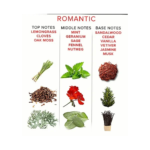 Pheromone Attract Her 50ml - Romantic van het merk Eye Of Love - Feromonen Parfum - online kopen bij Masculum.nl. De discrete online seks-toys en erotisch heren ondergoed winkel voor gay & hetero mannen.