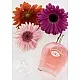 Pheromone Attract Him 50ml - One Love van het merk Eye Of Love - Feromonen Parfum - online bestellen bij Masculum.nl. De discrete online seks-toys en erotisch heren ondergoed winkel voor gay & hetero mannen.