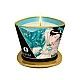 Massage Candle 170ml - Island Blossoms van het merk Shunga - Massage Kaarsen - online bestellen bij Masculum.nl. De discrete online seks-toys en erotisch heren ondergoed winkel voor gay & hetero mannen.